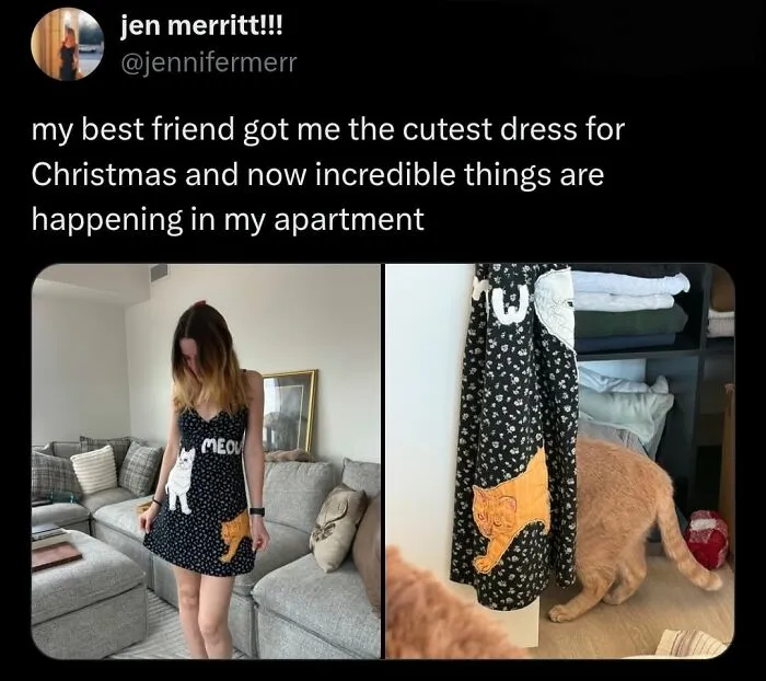 Hilarious cat memes: A woman wears a dress with cats, and a real cat playfully peeks from behind a similar dress.