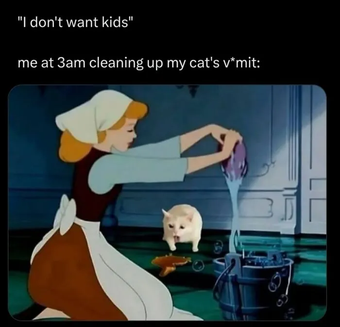 Hilarious meme comparing cleaning cat vomit to not wanting kids, perfectly capturing what it's like to share a home with cats.