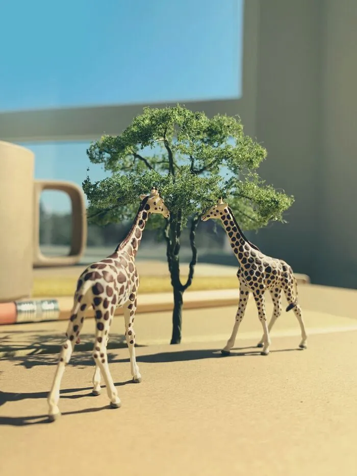 “Earth Day: Giraffes”