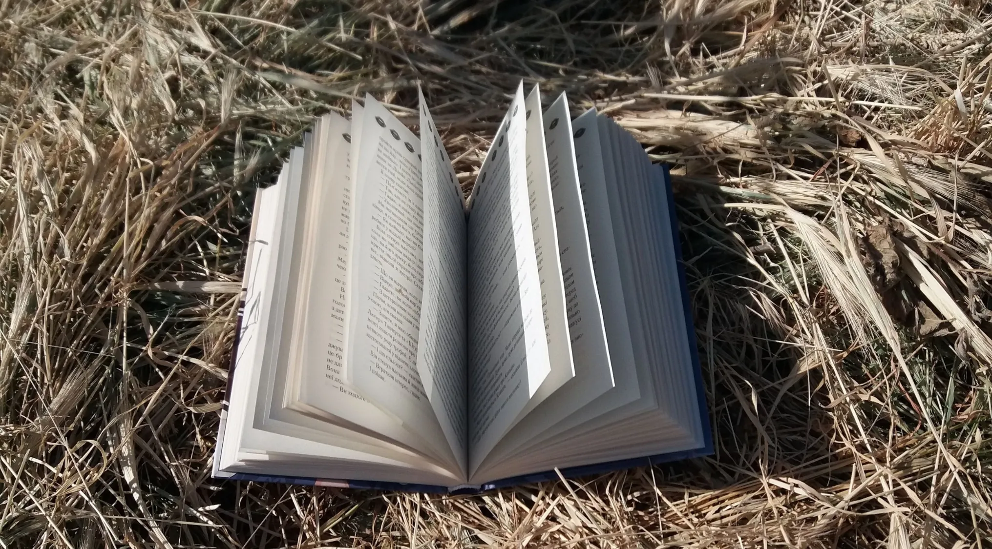 An open book rests on dry grass, with its pages splayed open and fanning out. The sunlight illuminates the pages, creating shadows on the text.