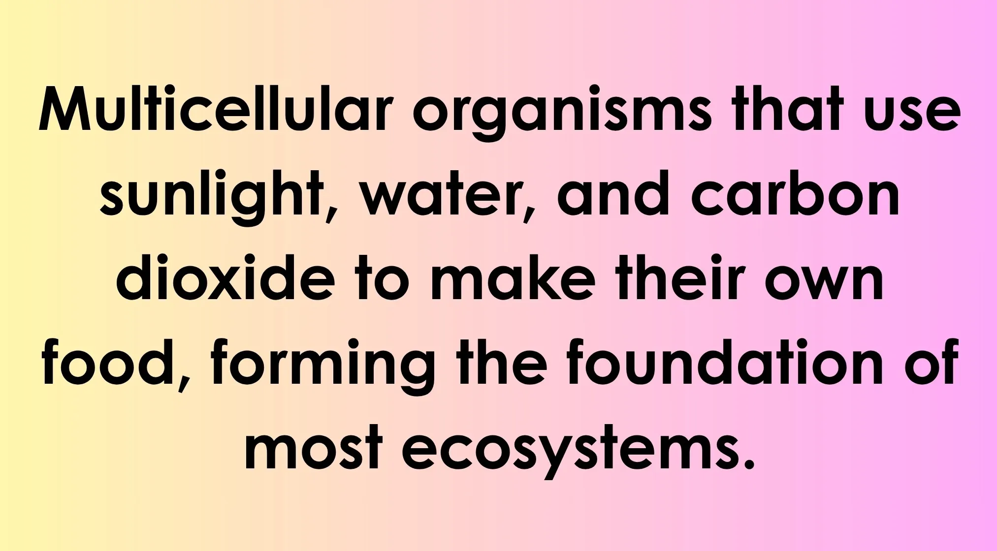 Text describing multicellular organisms that produce their own food using sunlight, water, and carbon dioxide, forming ecosystem foundations. General knowledge: words ending in -ANT.