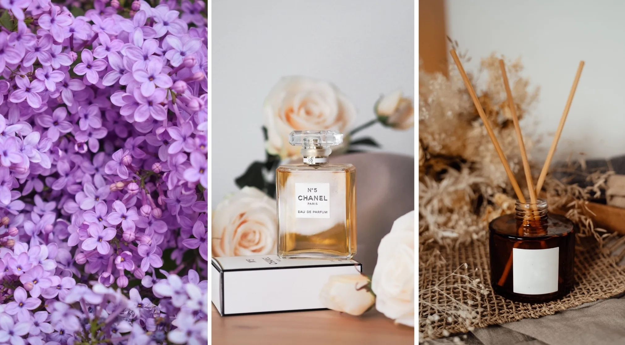 Elegant objects: lilac flowers, a Chanel perfume bottle surrounded by roses, and a reed diffuser with dried flora.