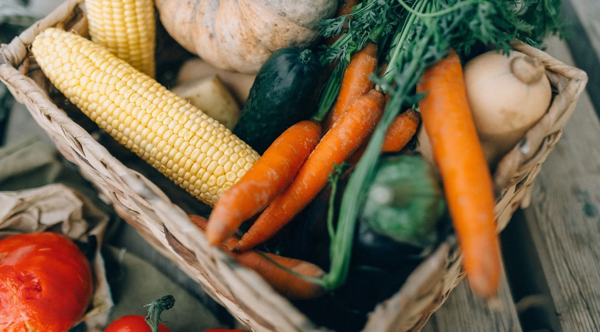 A basket filled with fresh vegetables, including corn, carrots, cucumber, and a pumpkin. It's a colorful assortment of general knowledge.