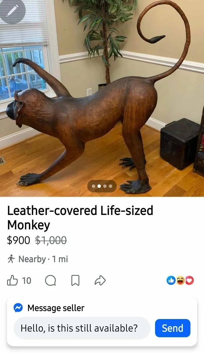 Leather.. Monkey??