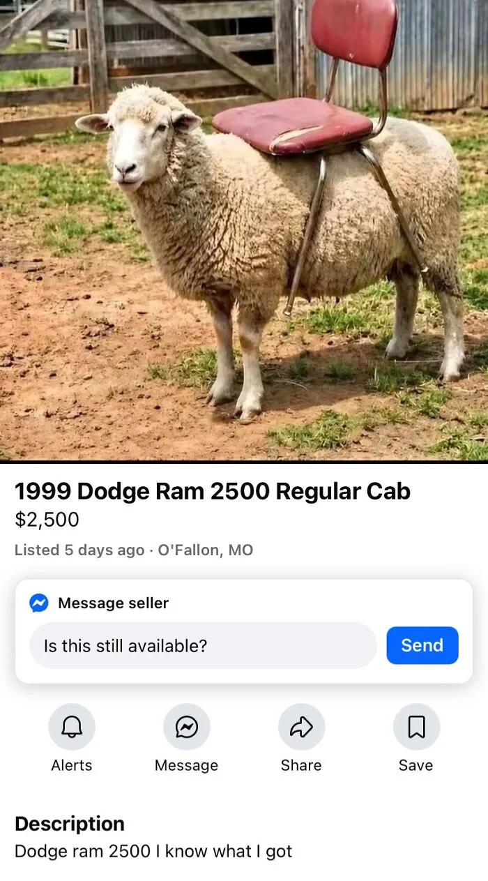 Never Thought I’d Find One In My Area But What Do Ya Know