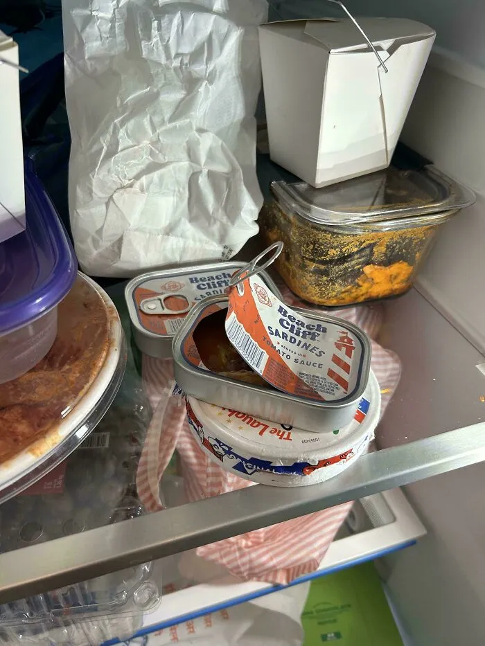 Open Can Of Sardines Left In The Office Fridge Overnight