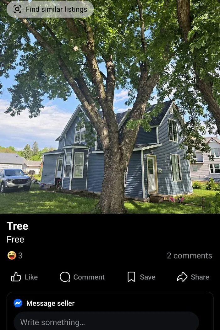 A tree offered for free, an unhinged marketplace listing. Find similar listings.