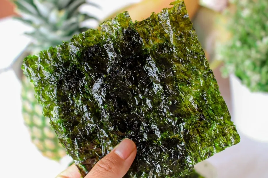 A hand holding a sheet of dried seaweed, a popular snack for a road trip.