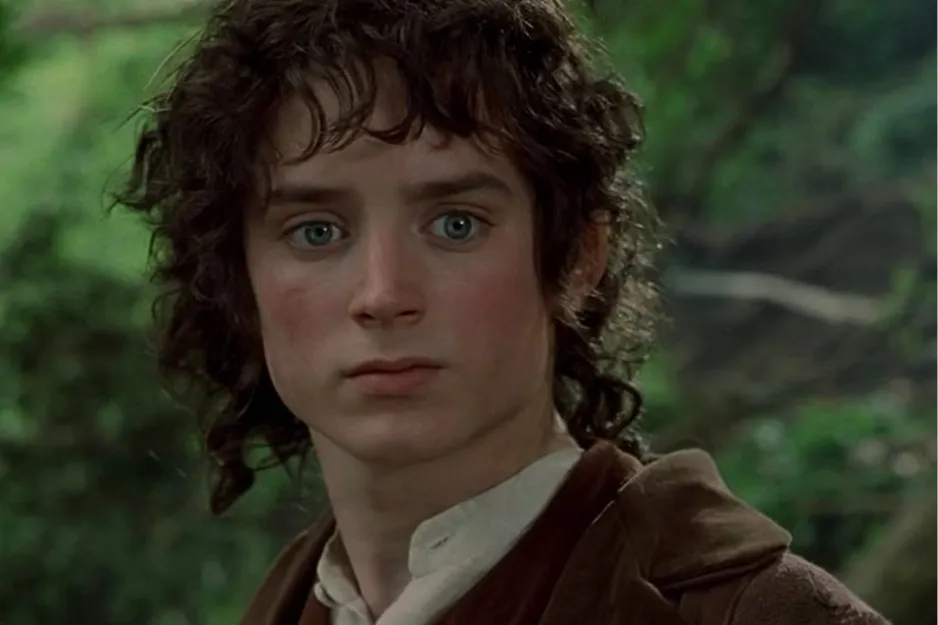 Frodo Baggins with wide eyes, a figure of courage to have by your side when you take a risk.
