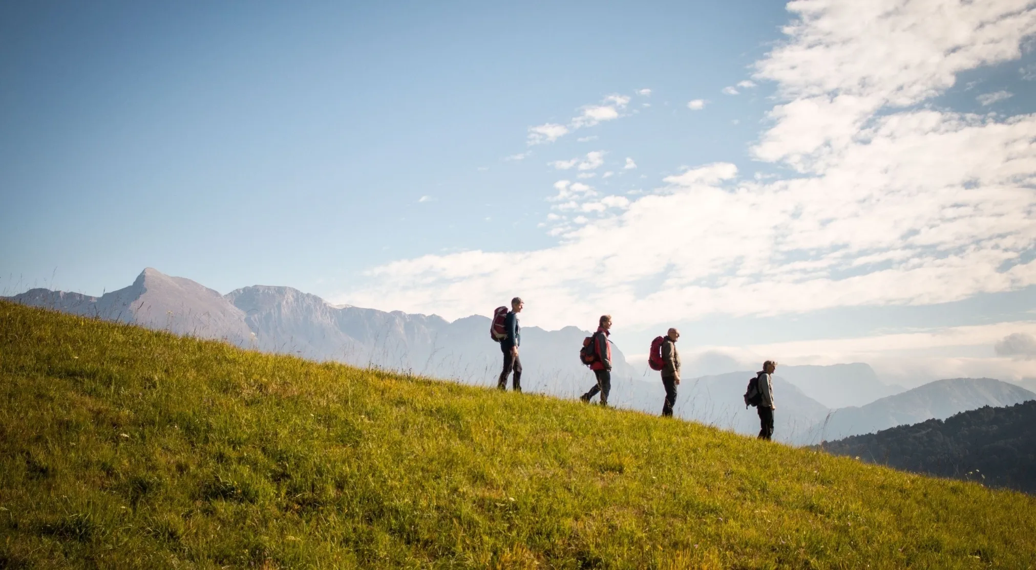 Four hikers ascend a grassy mountain path under a bright sky, illustrating the human body's endurance outdoors.