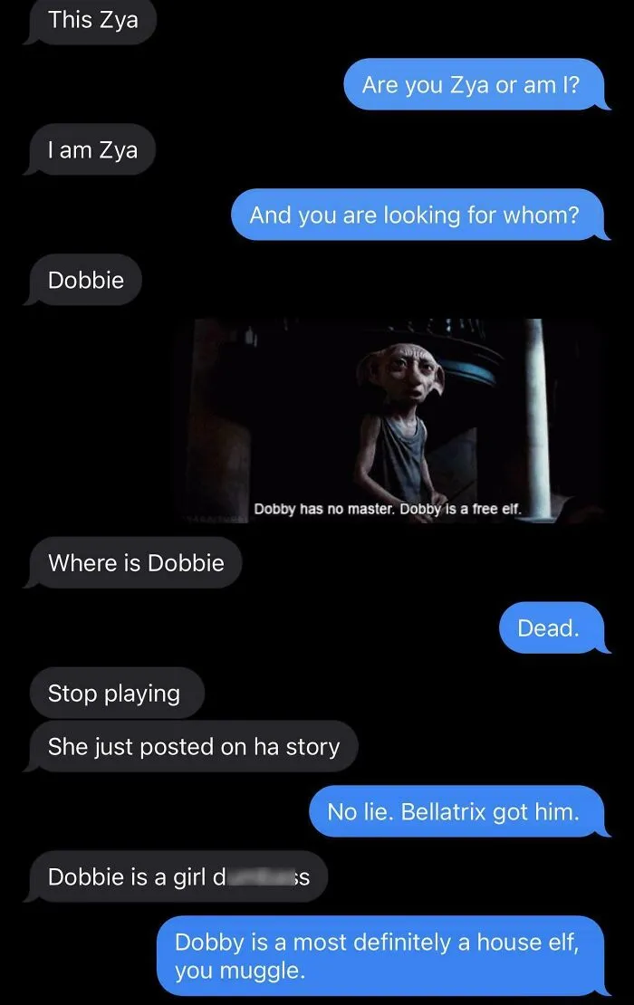 Dobby Is A Free Elf