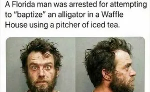 79 Unhinged Sentences That Came Out Of Nowhere And Made People Stop Scrolling (New Pics)