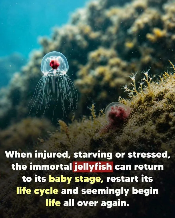 Nature Sure Is Amazing