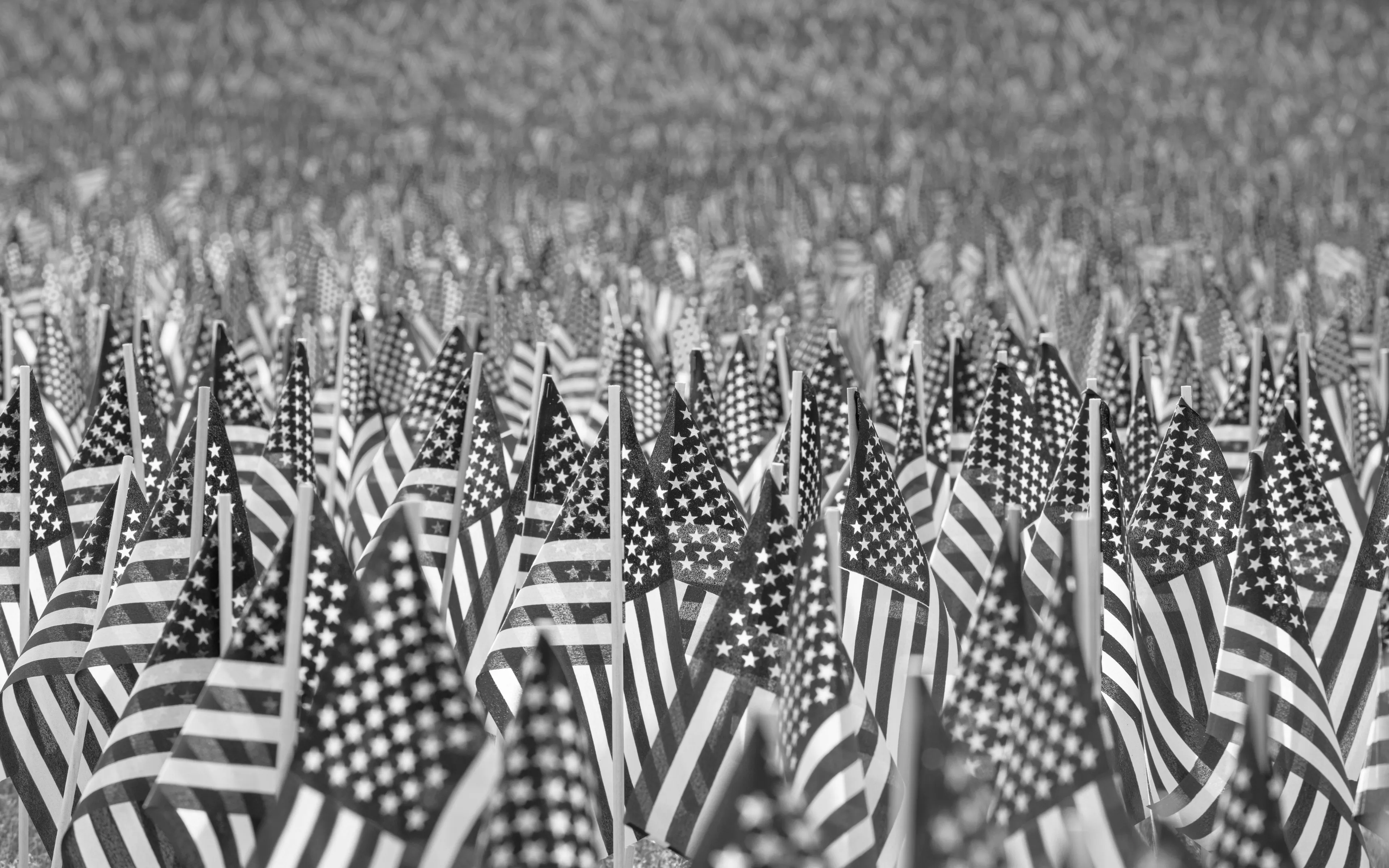 Black and white image of many small U.S. flags, focusing on the stripes and what they represent.