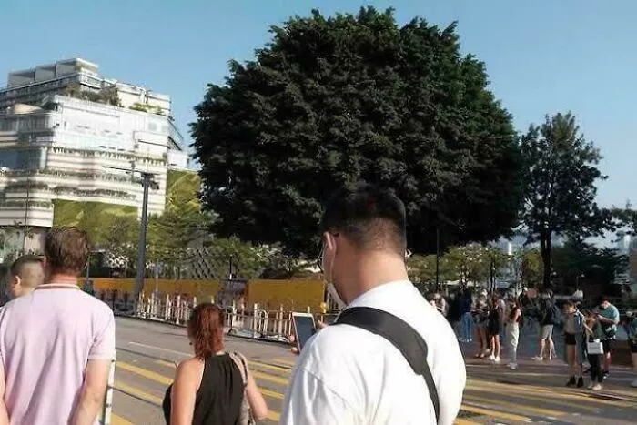 Biggest Hair