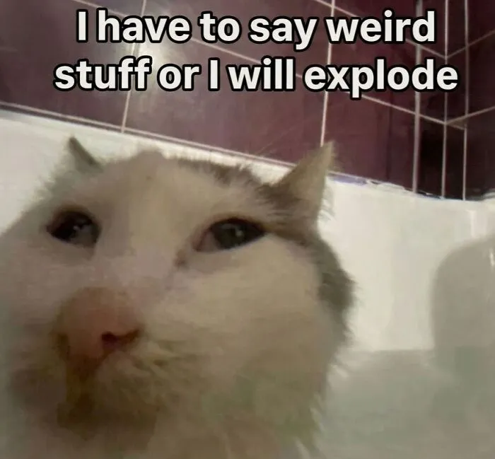 52 Chaotic Memes That Are Exactly As Unhinged As You’d Expect