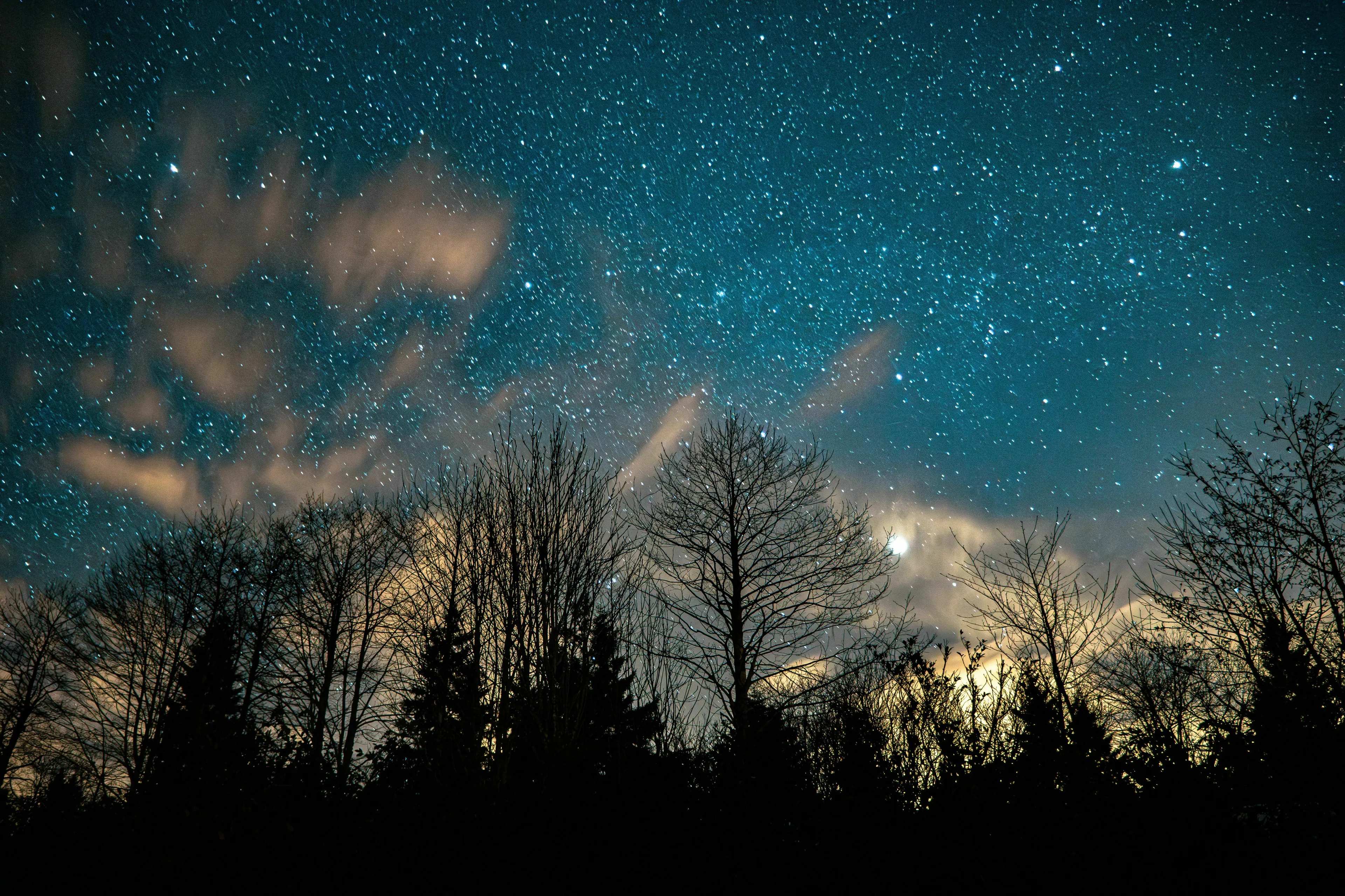 Silhouettes of trees against a starry night sky, with some clouds. General Knowledge Quiz.