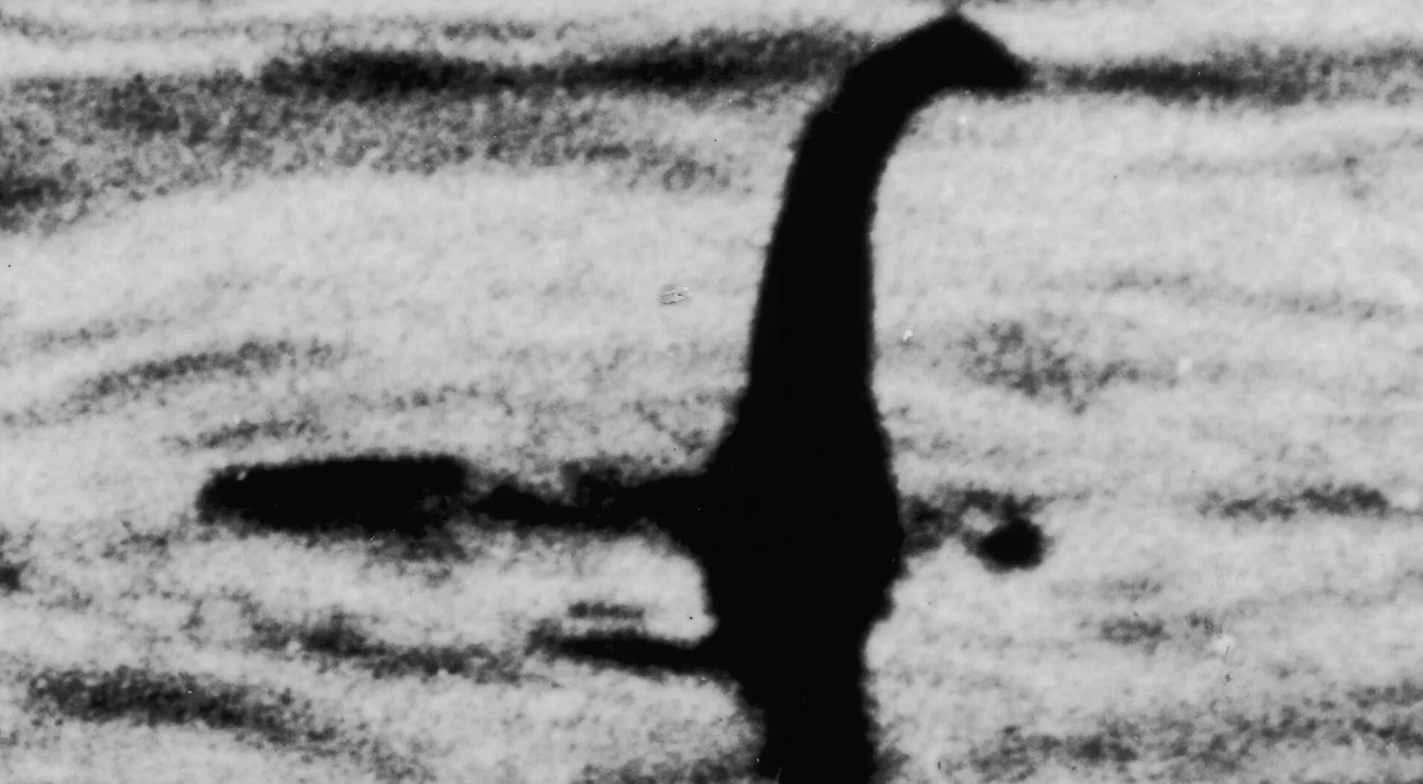 Iconic black and white photo, known as the Surgeon's Photograph, depicting the mythical Loch Ness Monster in Europe.