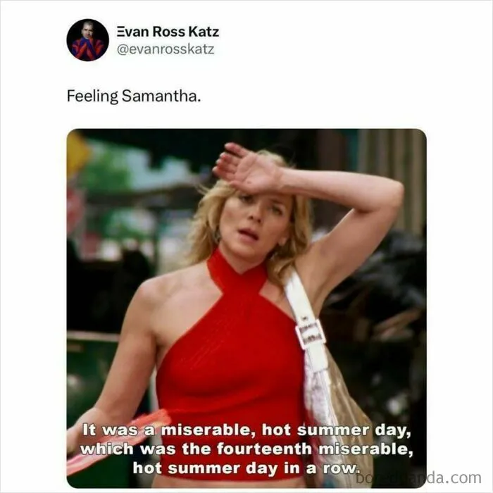 62 Funny Memes For People Who Feel Personally Attacked By The Sun