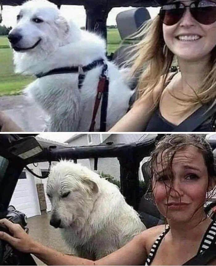 64 Wholesome Animal Photos Shared By This Page That Might Make You Smile Without Even Trying