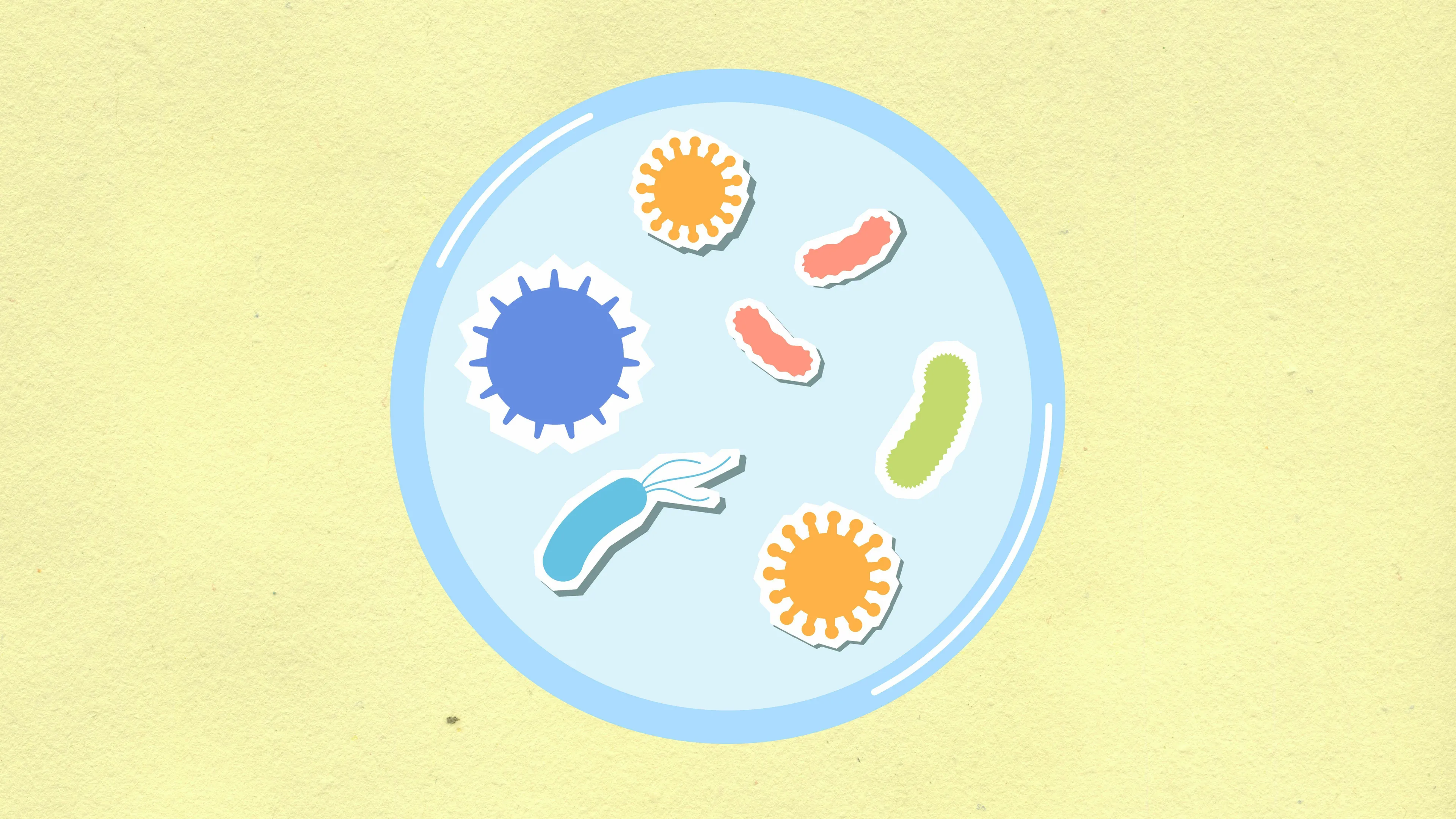 Illustration of various microorganisms, including bacteria and viruses, in a petri dish, representing mitochondria.