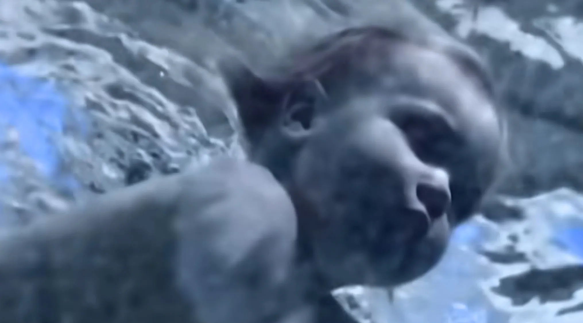 Underwater image of a baby from Nirvana's album cover, Nevermind.