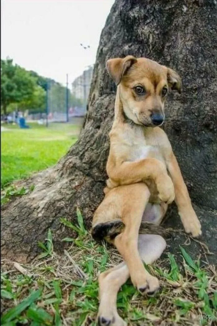 34 Personas que intentaron fotografiar a animales y terminaron con imágenes de pura comedia