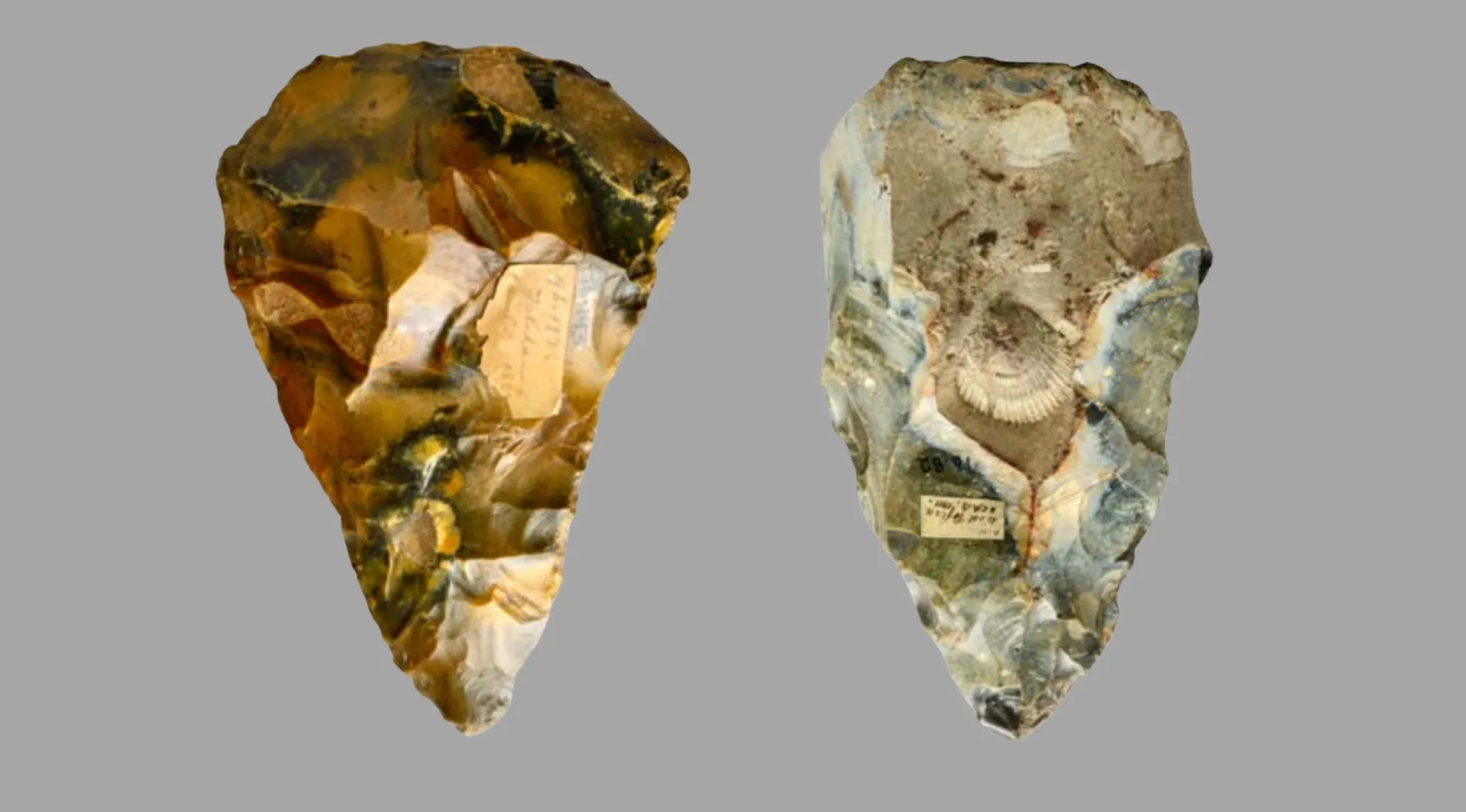 Two ancient tools, flint handaxes with visible wear and labels, hinting at their historical use.