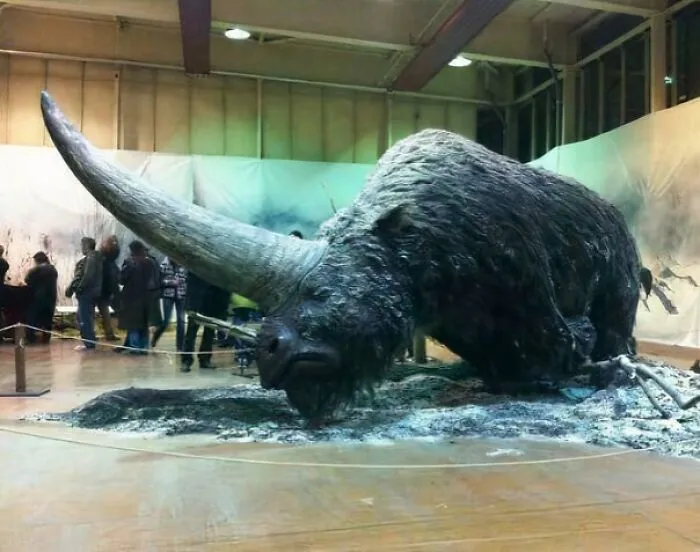 A Big Hairy Unicorn That Existed As Early As 29,000 Years Ago