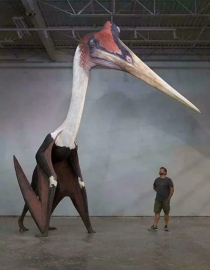 A man stands beside an extremely large, scary, and eerie pterosaur model inside a building.