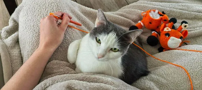 Cat sitting beside a person crocheting with orange yarn and crochet toy