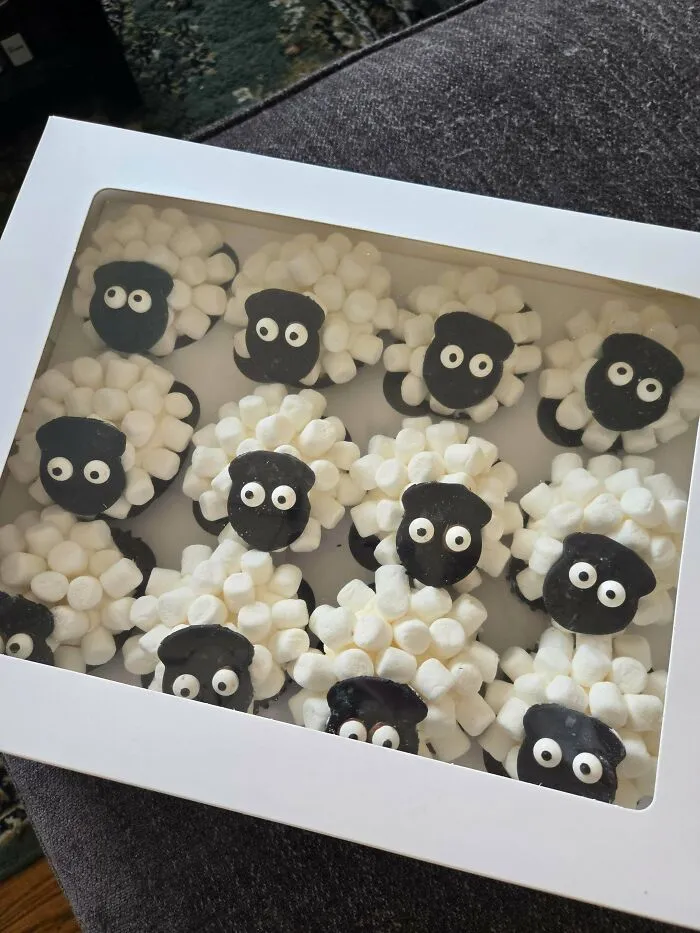 A box of cute sheep-shaped cupcakes made with marshmallows, showing a baker's amazing and delicious treats.