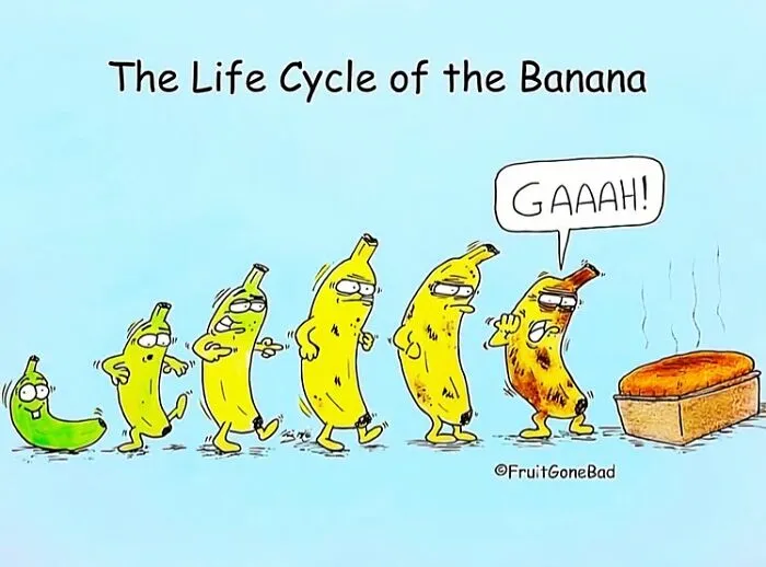 43 Funny And Slightly Naughty Comics Featuring Food And Objects, Illustrated By This Artist (New Pics)