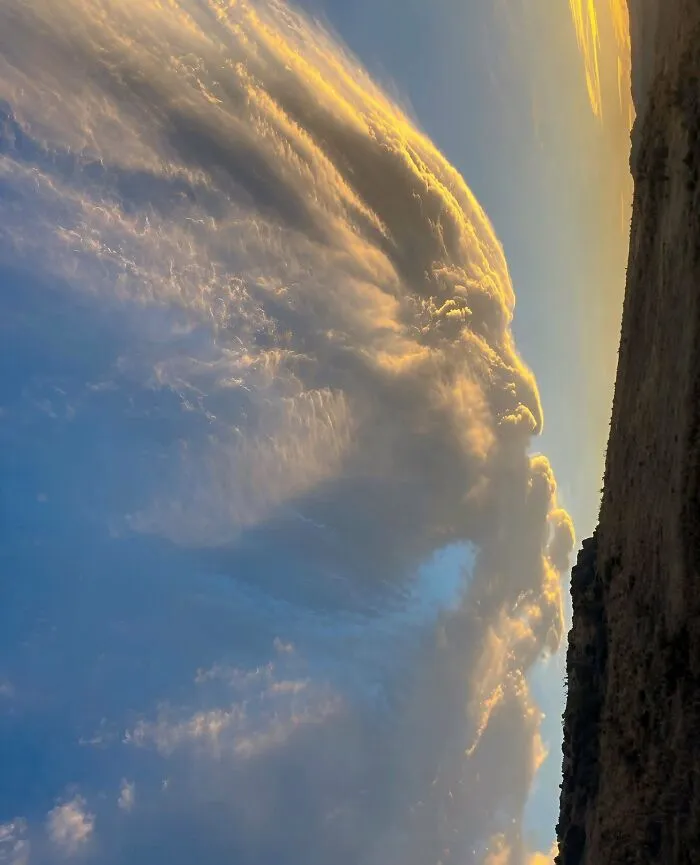 Proof That Nature Is The Greatest Artist In The Universe