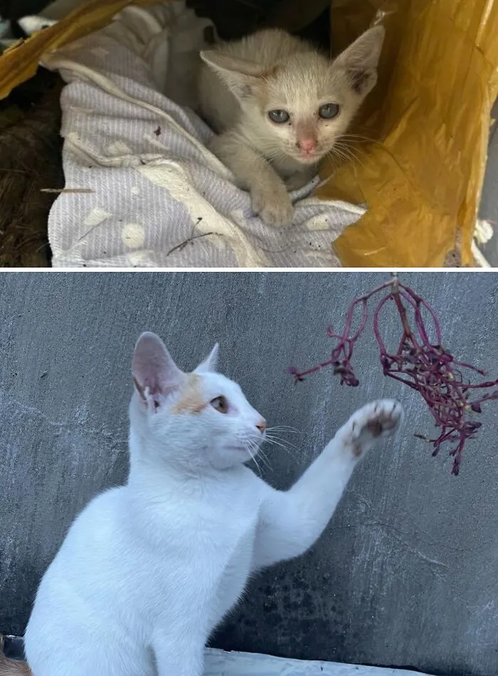 January - June 2026 😽