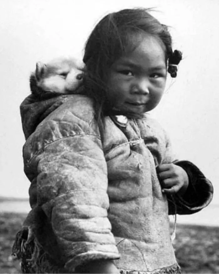 A Young Inuit Girl With Her Husky Puppy In 1949