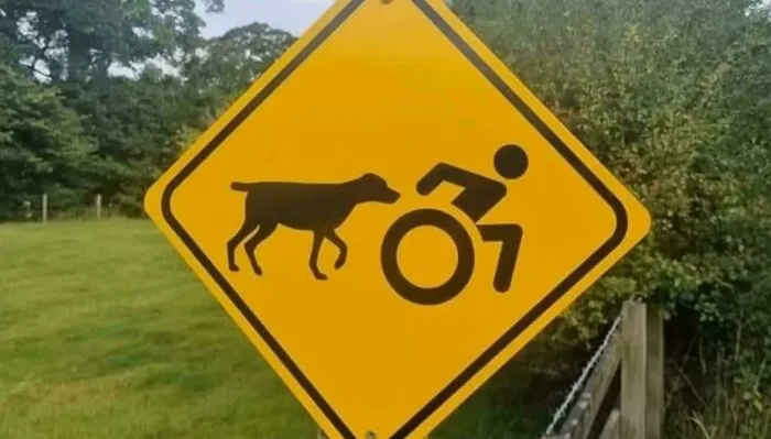 I Can’t Figure Out What This Means, But Definitely Has A Story Behind It