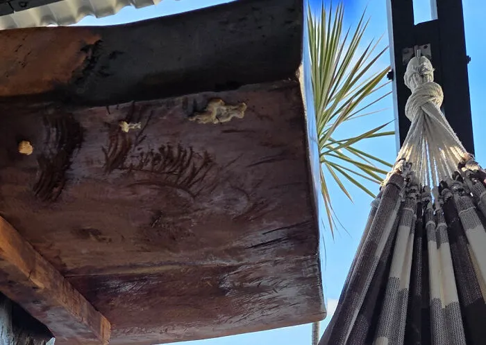 Close-up of a dirty wooden beam with some white fungus, a clear Airbnb blunder that might make you book a hotel instead.
