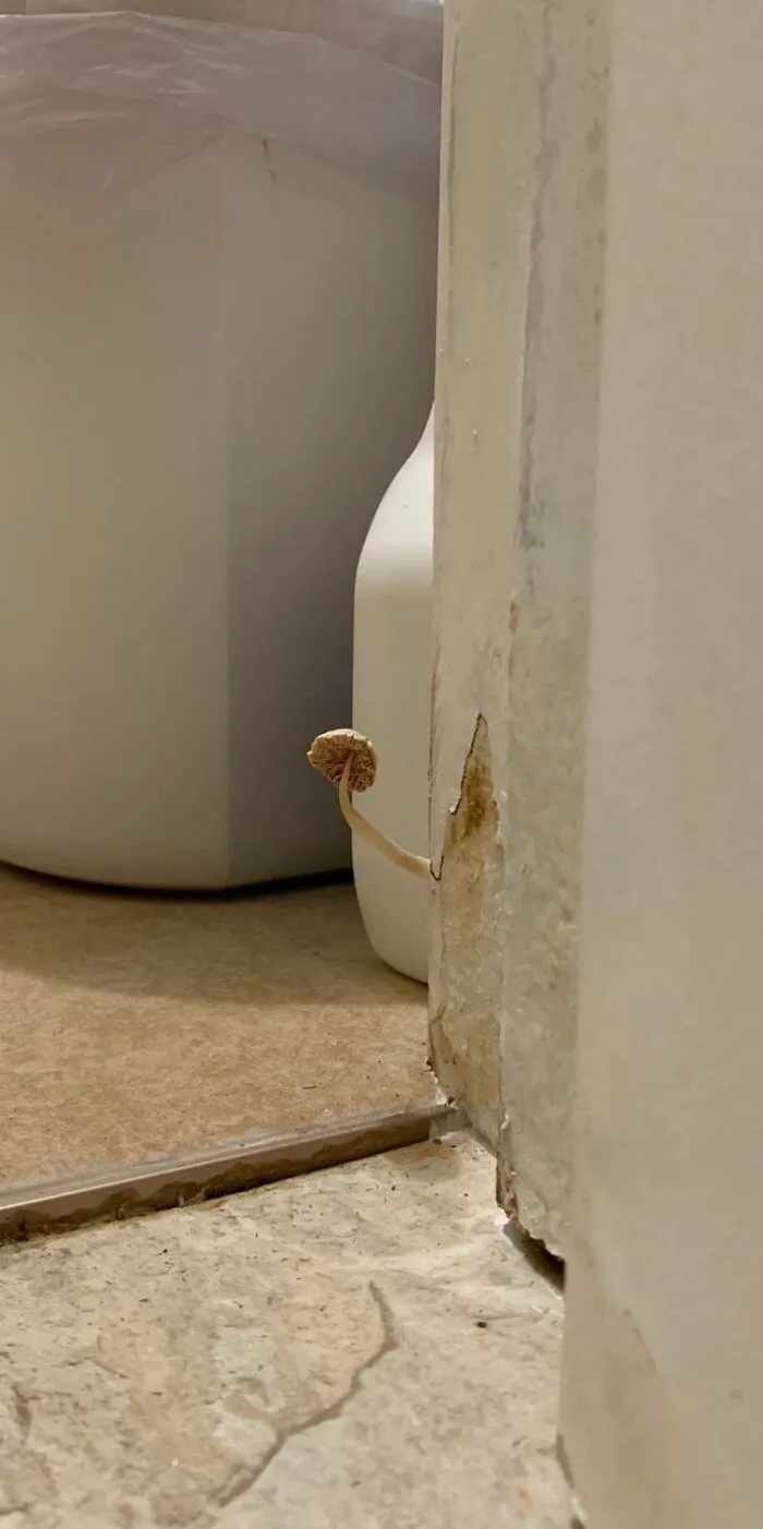 22 Fallos exasperantes en Airbnb que convirtieron vacaciones en pesadillas