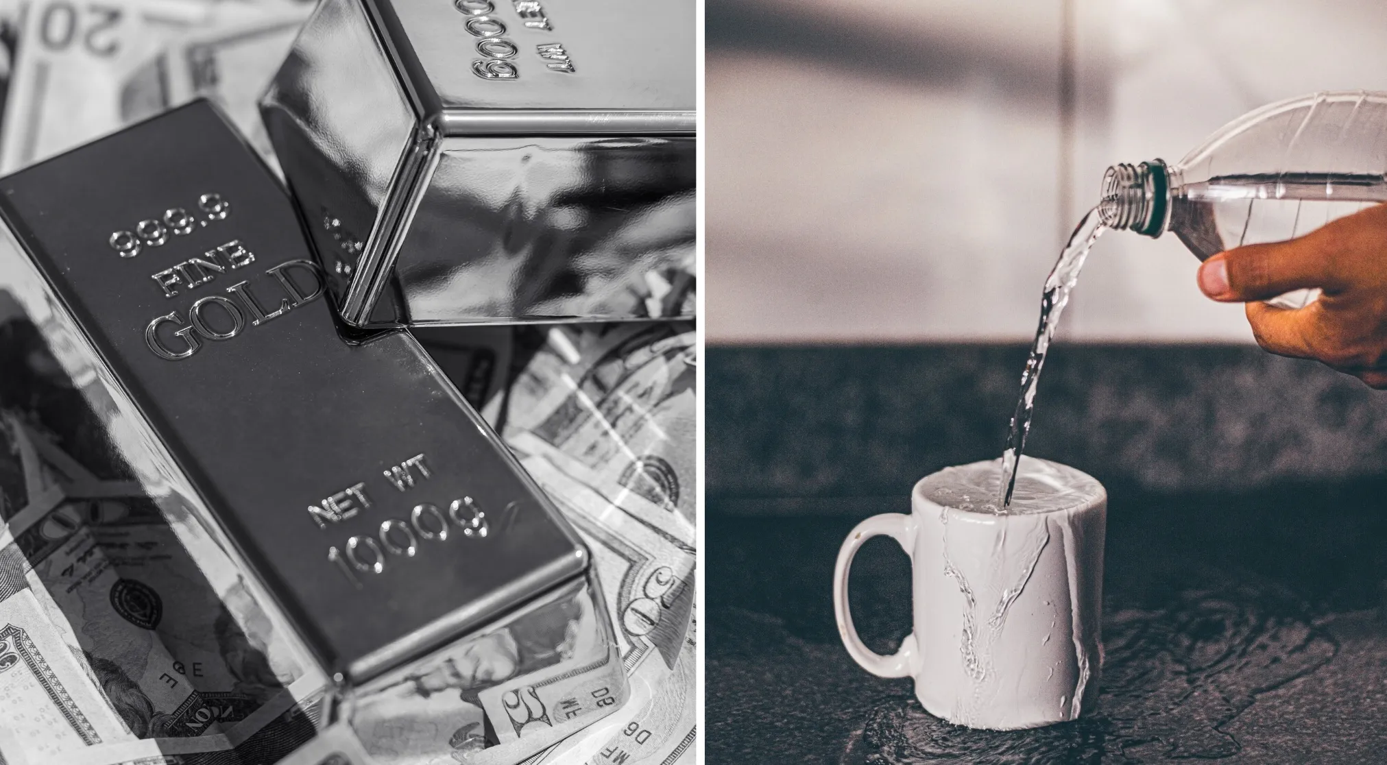 Two images: gold bars on money (Finance) and water poured into a mug (Science). Double-Meaning Words puzzle.