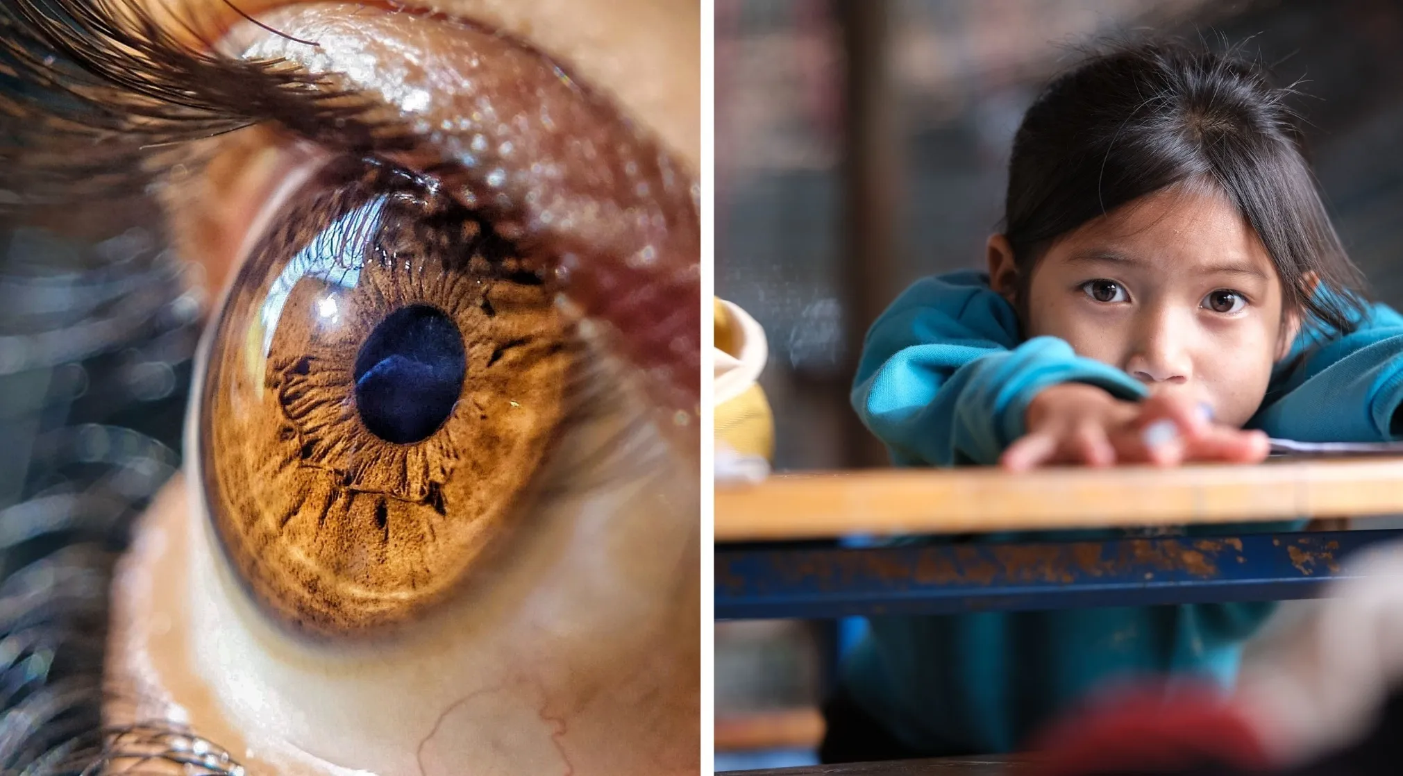 Close-up of a human eye next to a child student. The image highlights the double-meaning words related to the pupil.