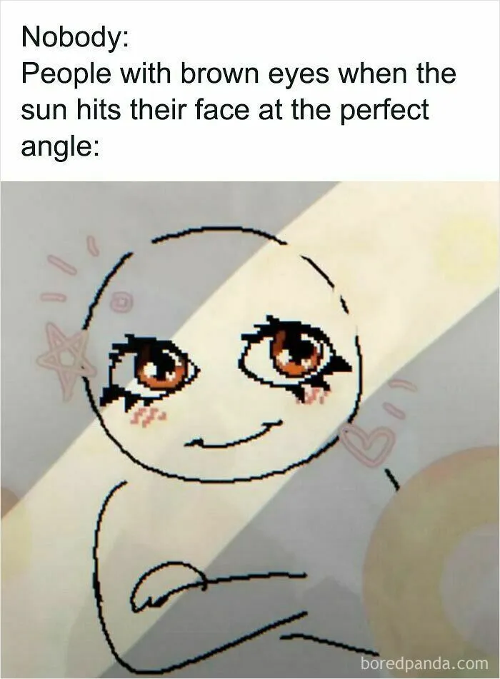 52 Chaotic Memes That Are Exactly As Unhinged As You’d Expect