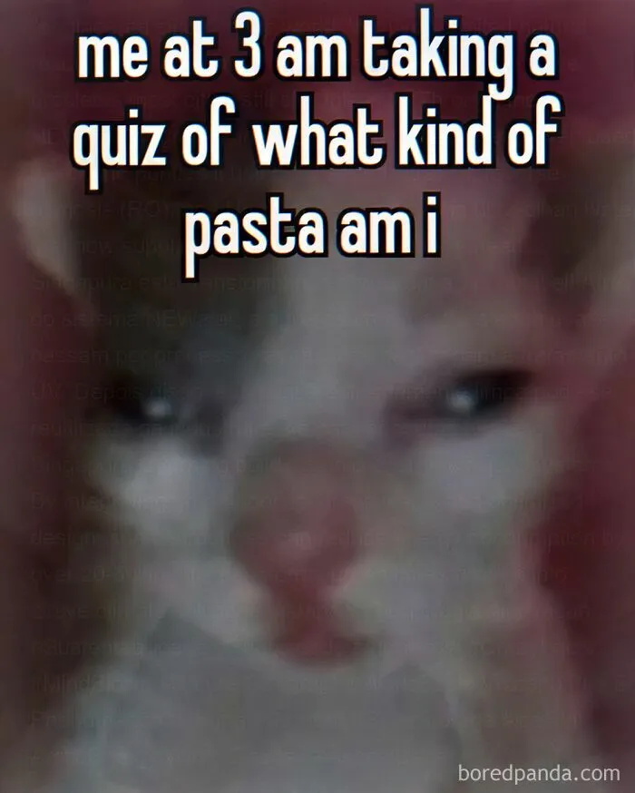 52 Chaotic Memes That Are Exactly As Unhinged As You’d Expect