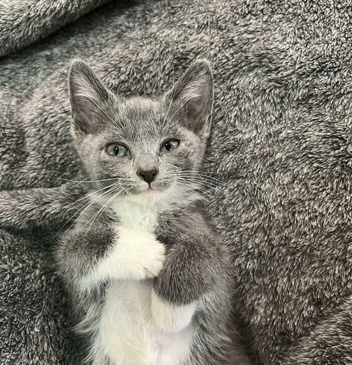 Help Us Name This Little Guy. We Have Been Struggling To Find Something That Fits Him