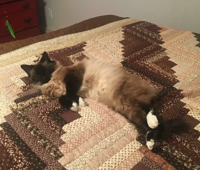 I Spent Forever Trying To Find Her