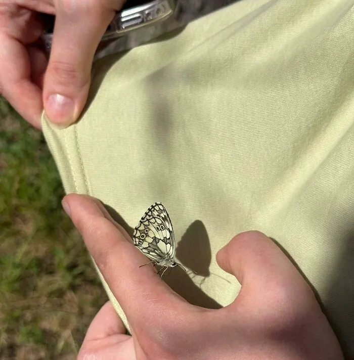 My T-Shirt And A Friendly Butterfly