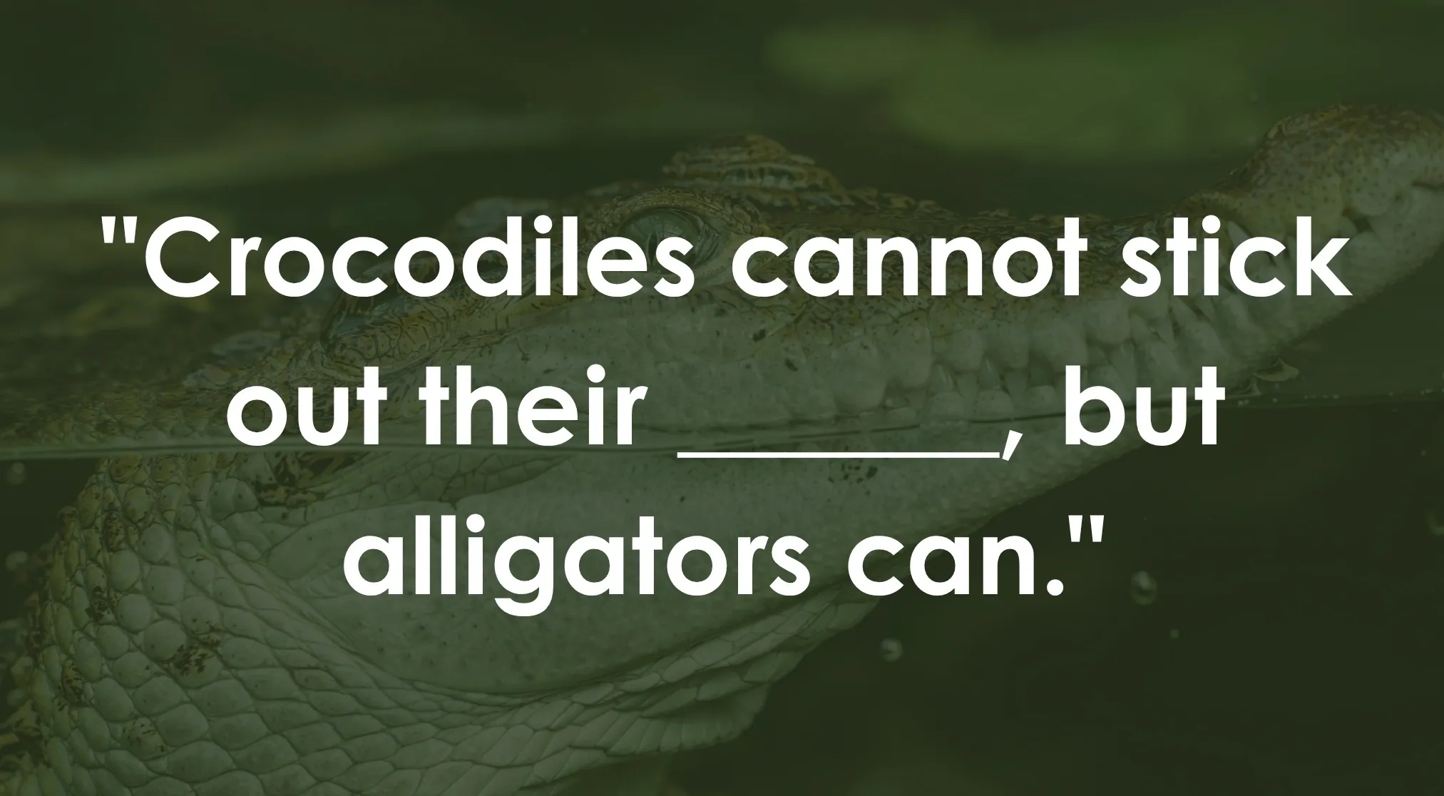 Useless Facts about crocodiles and alligators. A crocodile partially submerged, with text overlay prompting to finish a random fact.