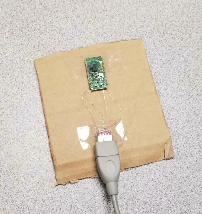 Saved A Students Thesis