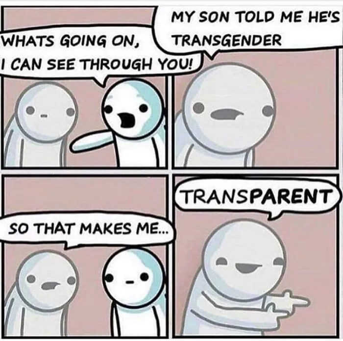 Trans- Punny