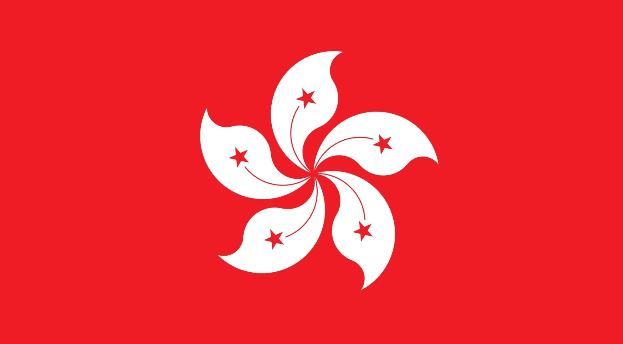 The flag of Hong Kong, featuring a white bauhinia blakeana flower on a red background.
